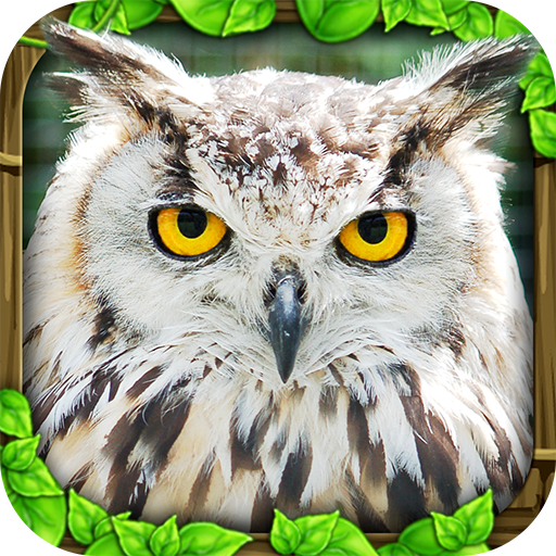Owl Simulator Изтегляне на Windows