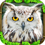 Cover Image of Tải xuống Owl Simulator  APK