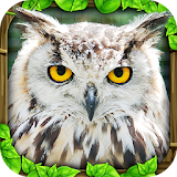 Owl Simulator icon