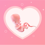Cover Image of Descargar Rastreador de embarazo y guía para bebés  APK