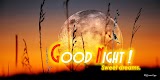 screenshot of Good Night