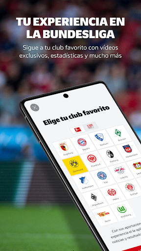 Vista previa de la aplicación