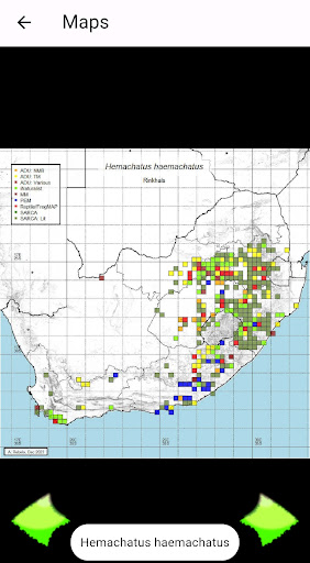 Herp Distribution SA Screen 2