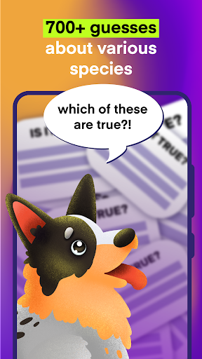 Wild Guesses about animals Screen 2