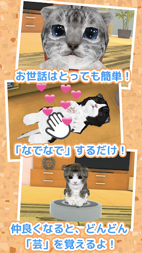 完全無料 子猫をのんびり育てるアプリ かわいいねこゲーム