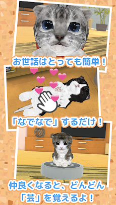 ねこ育成ゲーム 完全無料 子猫をのんびり育てるアプリ かわいいねこゲーム Androidアプリ Applion