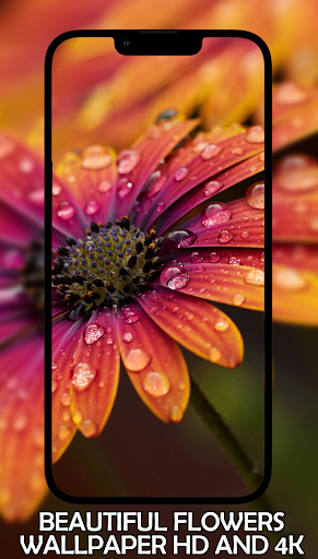 wallpaper FLOWERS HD 4K