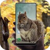 Squirrel in phone prank icon