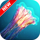 Jellyfish Wallpapers icon