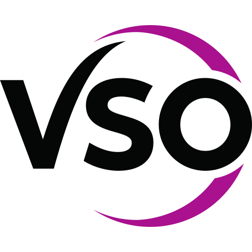 VSOSCHOOL logo