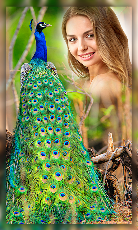 Peacock Photo Frames - 1.0.4 - (Android)