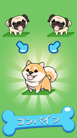 Game screenshot Merge Dogs mod apk