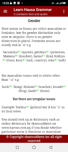 Learn Hausa Grammar with Audio Screen 2