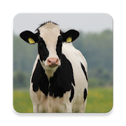 Top 20 Music & Audio Apps Like Cow Sounds ~ Sclip.app - Best Alternatives