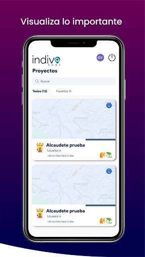 indiva SaaS Screen 2