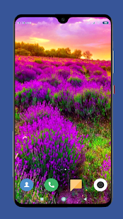 Beautiful Spring Wallpaper  4K 1.12 screenshots 14