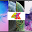 Wallpapers : HD - 4K Download on Windows