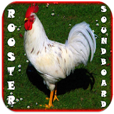 Rooster Soundboard icon