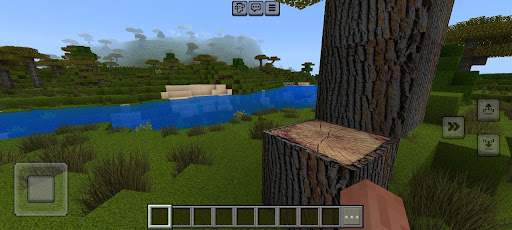 Minecraft Shaders Texture Pack