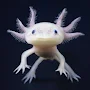 Axolotl Cute Wallpaper HD & 4K