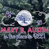 Mary B. Austin Elementary icon
