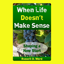 Icon image When Life Doesn't Make Sense: Shaping a New Start