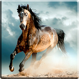Horses Video Live Wallpaper icon