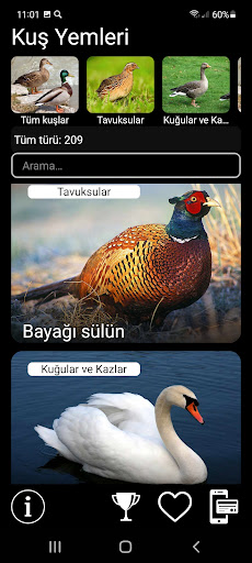 Uygulama önizlemesi