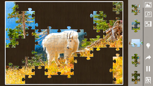 Jigsaw puzzles for everyone 7