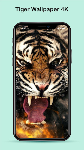 Tiger Wallpaper 4K Screen 3