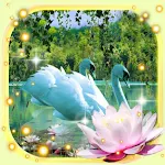 Cover Image of Скачать Swans and Lilies LWP  APK