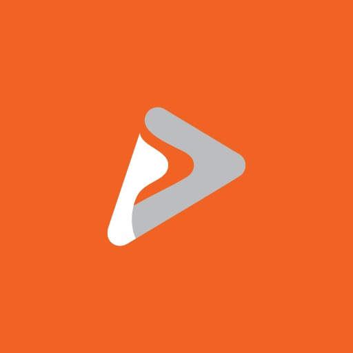 Playfibra logo