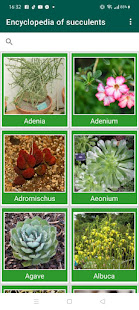 Encyclopedia of Cacti & Succulents 6.1 APK screenshots 19
