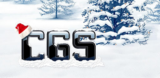 Catch Christmas Decorations