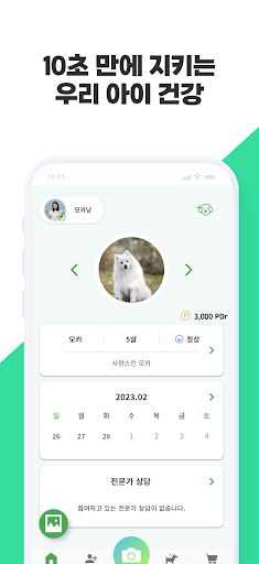 Android application 덩키펫닥터 – 반려동물 건강문진 앱 screenshort