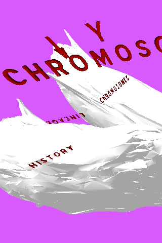 Y Chromosome VR