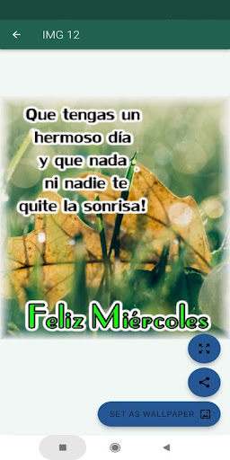 Saludos Días de la Semana Screen 3