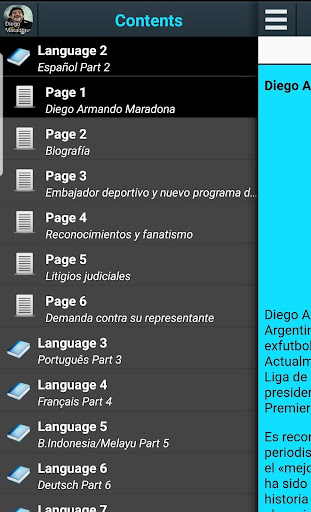 Vista previa de la aplicación
