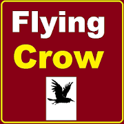 Flying Crow
