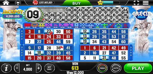 Amazonia Bingo - Social Casino 13