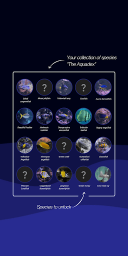 SeaScan Scheveningen Screen 2