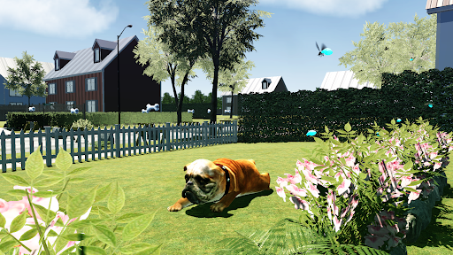 Android application Bull Dog Simulator screenshort
