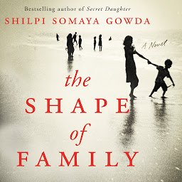 Icon image The Shape of Family: A Novel