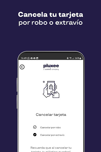 Screenshot of Pluxee México