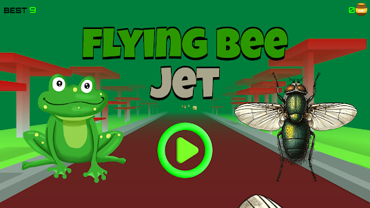 Flying Bee Jet