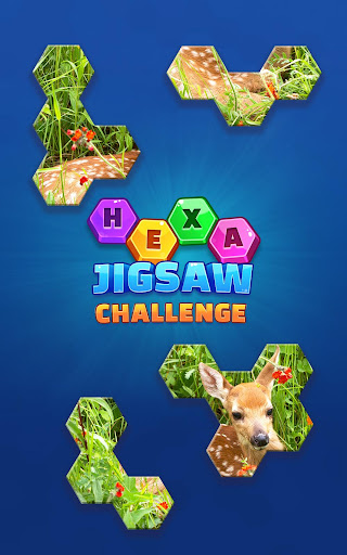 Hexa Jigsaw Challenge screenshots 5