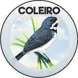 COLEIRO icon