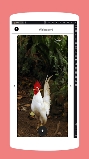 Hen wallpapers Screen 2