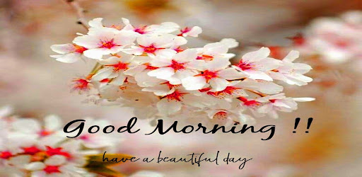 Good Morning GIF Greeting Screen 2