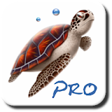 Dive Planner Pro icon